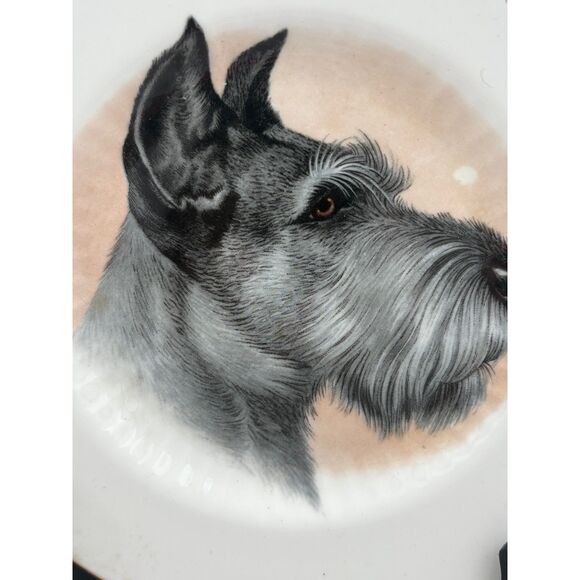 Vintage Duchess Bone China England Gray Schnauzer Decorative Plate - Picture 1 of 5